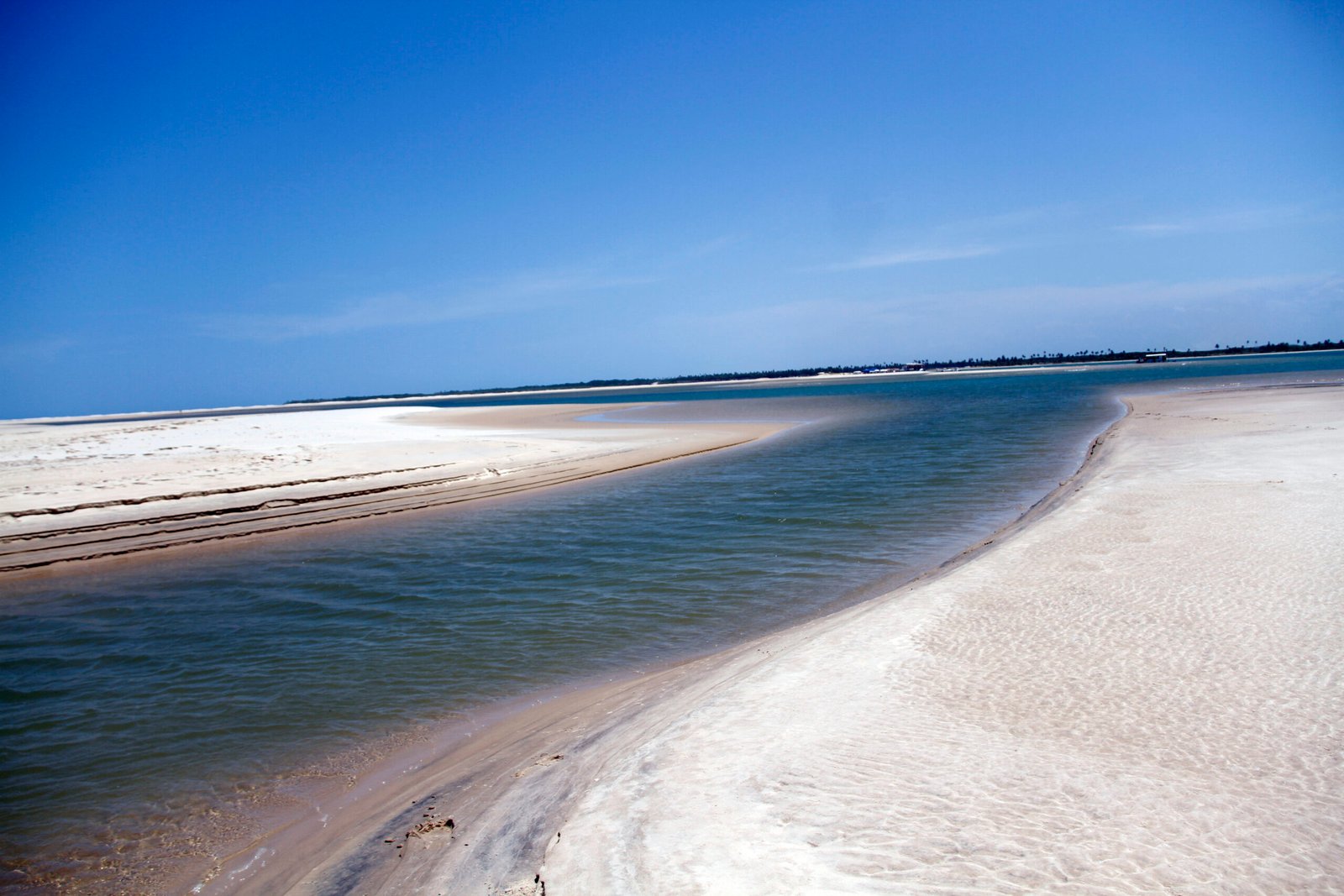 40115074855_d0f12a818c_o